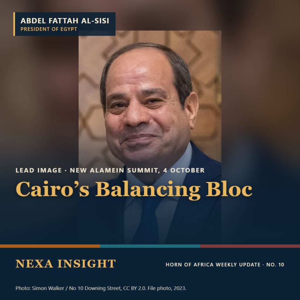 Abdel Fattah al-Sisi, president of Egypt. Card for Horn of Africa Weekly Update, Issue No. 10